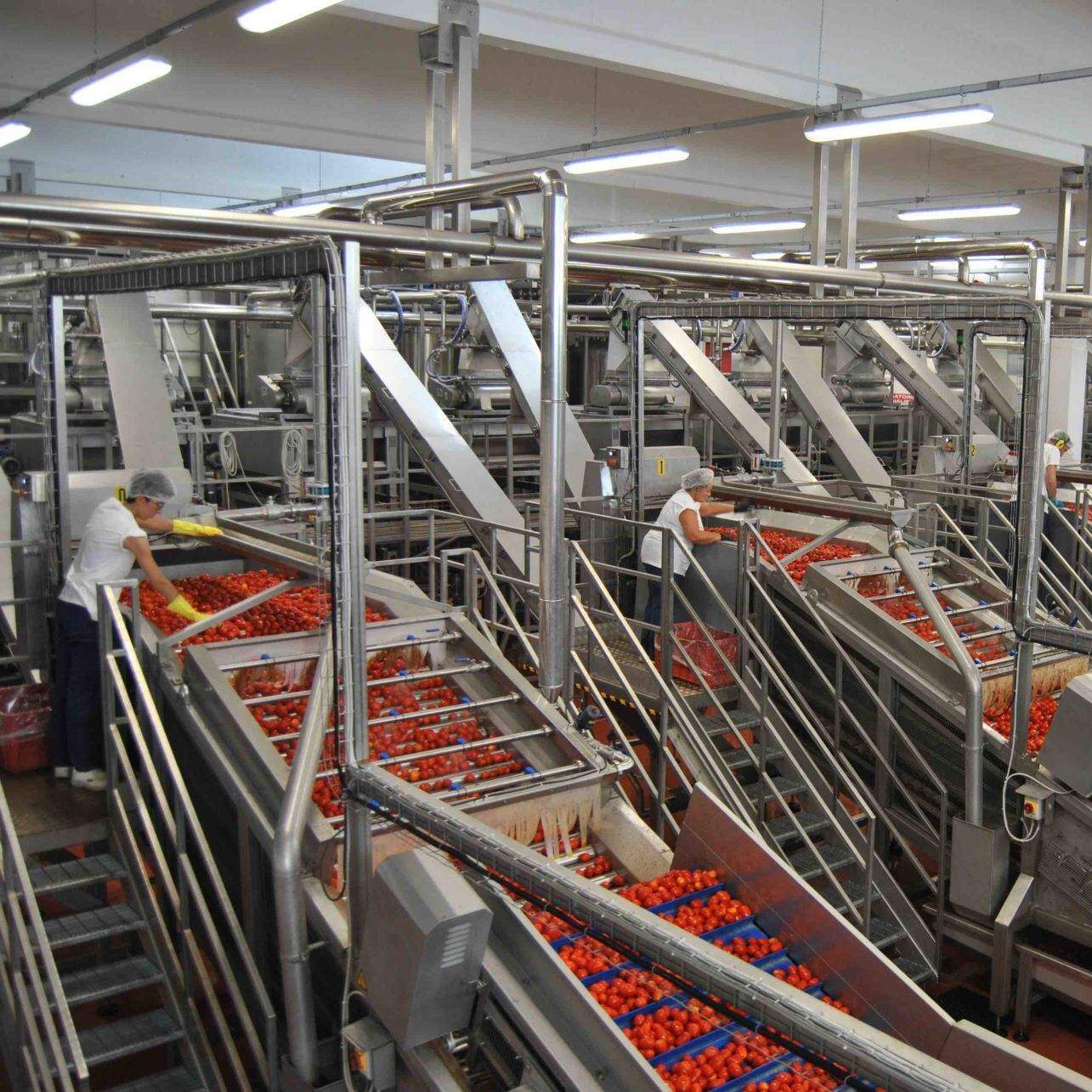 tomato paste industrial ARNIA TEXTILE FASHION Italian Sustainable Luxury tomato paste industrial ARNIA TEXTILE FASHION Italian Sustainable Luxury