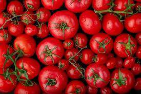 tomato ARNIA TEXTILE FASHION Italian Sustainable Luxury tomato ARNIA TEXTILE FASHION Italian Sustainable Luxury