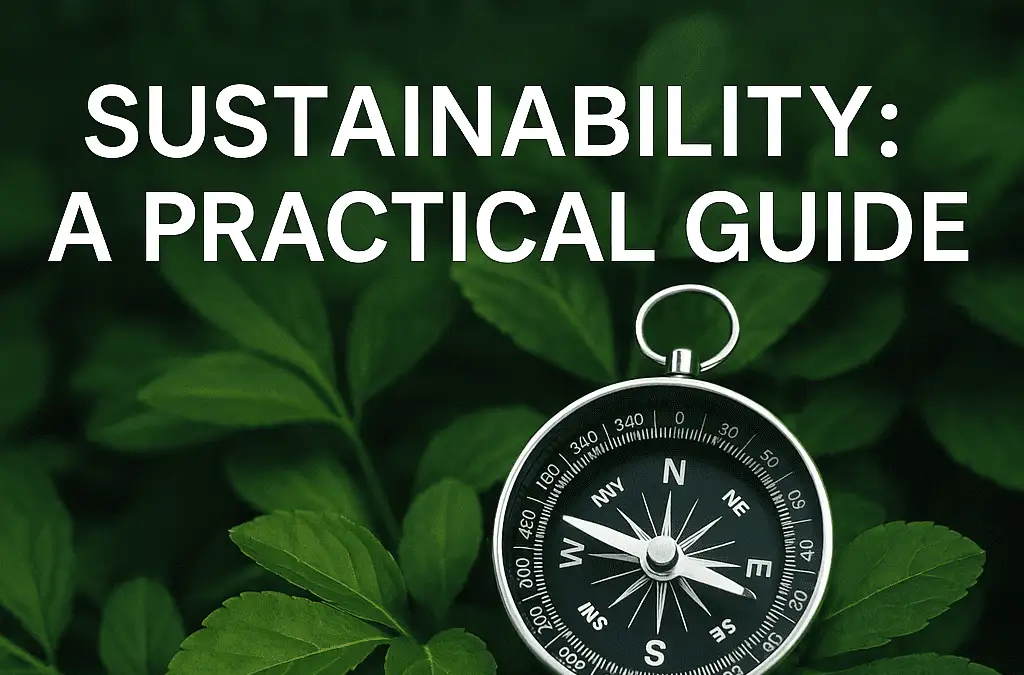 Compass on green leaves with the title 'Sustainability: A Practical Guide' in bold white text, conveying a practical sustainability guide.
