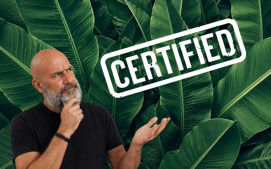 Transaction Certificates in Fashion, MOQ and Chain of Custody explained by ARNIA TEXTILE FASHION