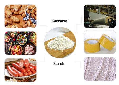 CASSAVA-STARCH-USE