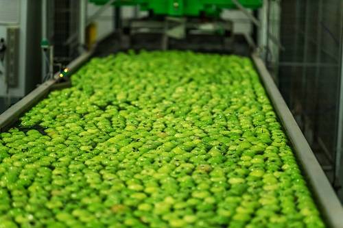 FRUIT CONCENTRATE PLANT 3