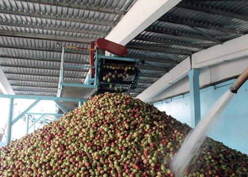 FRUIT-CONCENTRATE-PLANT