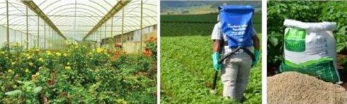 NPK-FERTILIZER-2