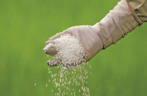 NPK-FERTILIZER