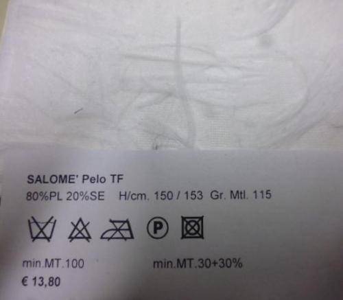 SALOME-E